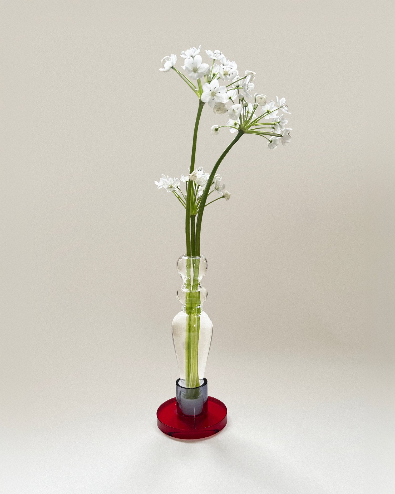 The Curvy Candle Holder Vase