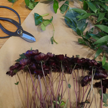 Med rötterna i Stockholm